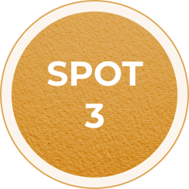 spot-3